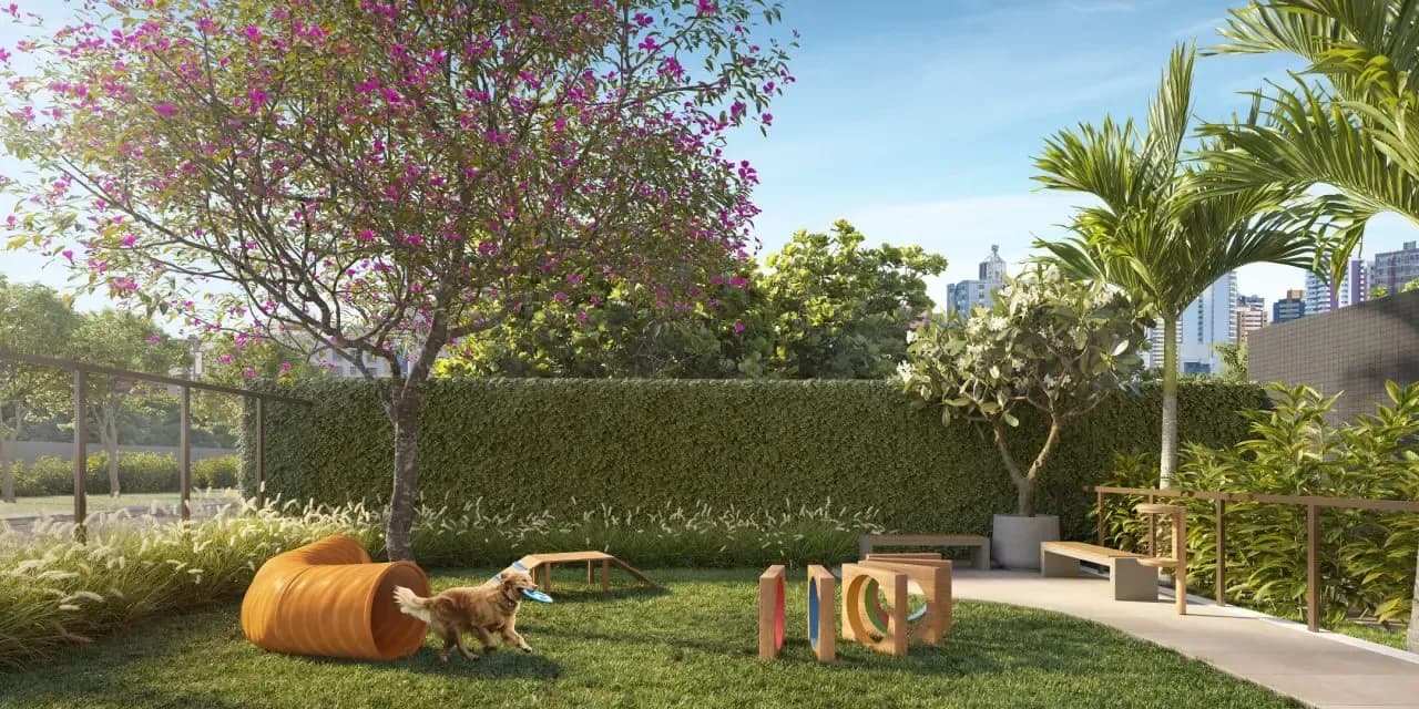 Pet place do Blend Pituba